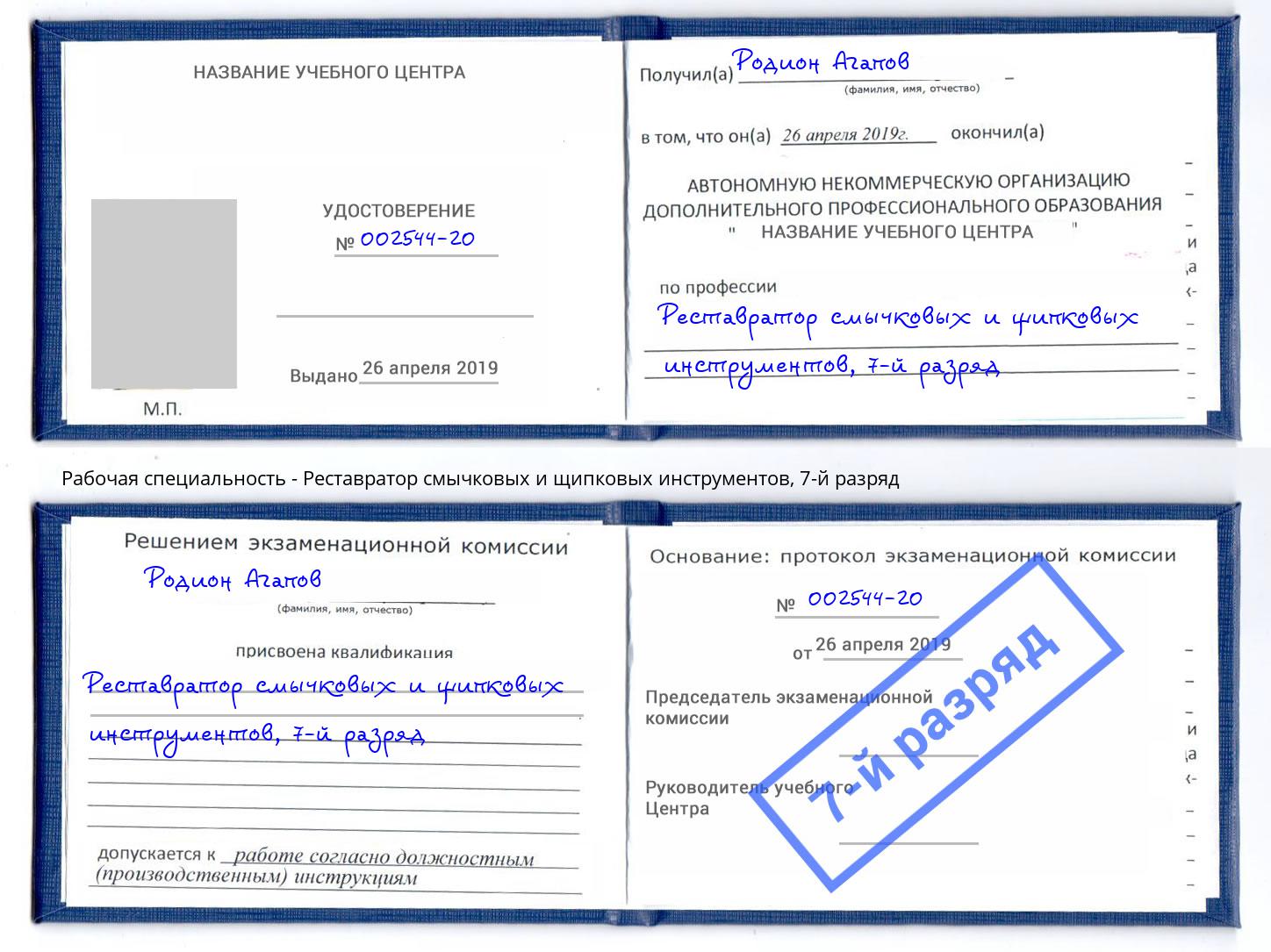 корочка 7-й разряд Реставратор смычковых и щипковых инструментов Александров