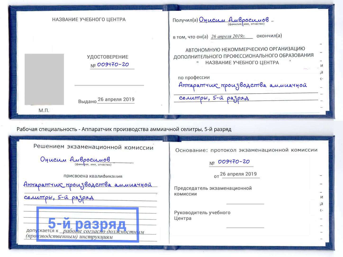 корочка 5-й разряд Аппаратчик производства аммиачной селитры Александров