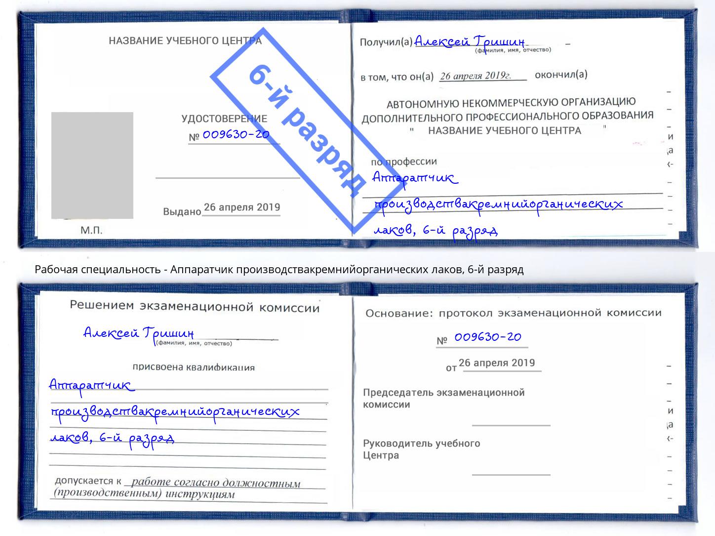 корочка 6-й разряд Аппаратчик производствакремнийорганических лаков Александров