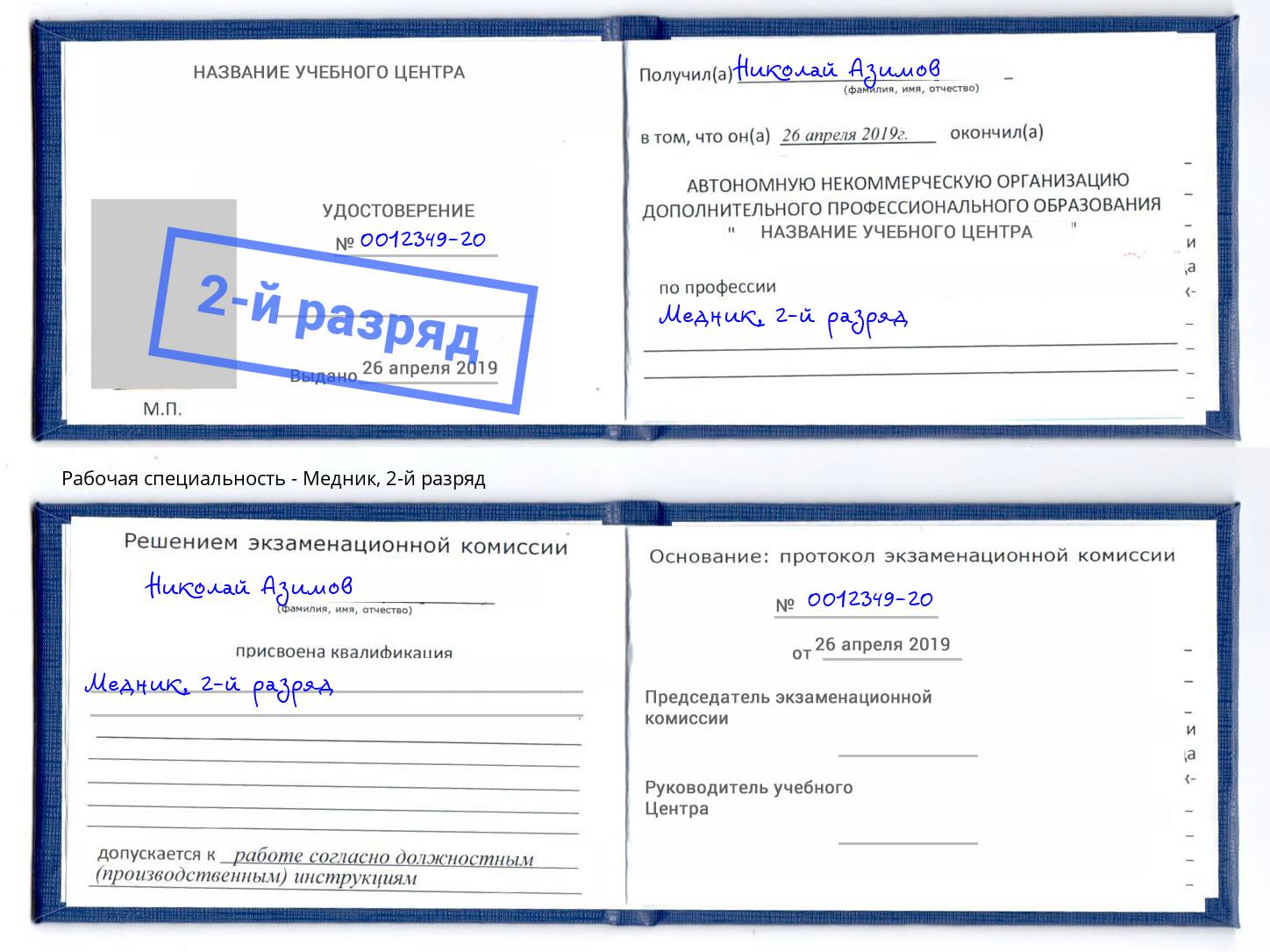 корочка 2-й разряд Медник Александров