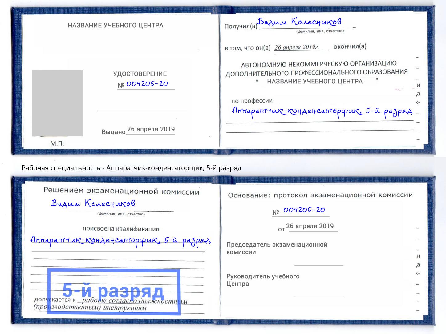 корочка 5-й разряд Аппаратчик-конденсаторщик Александров