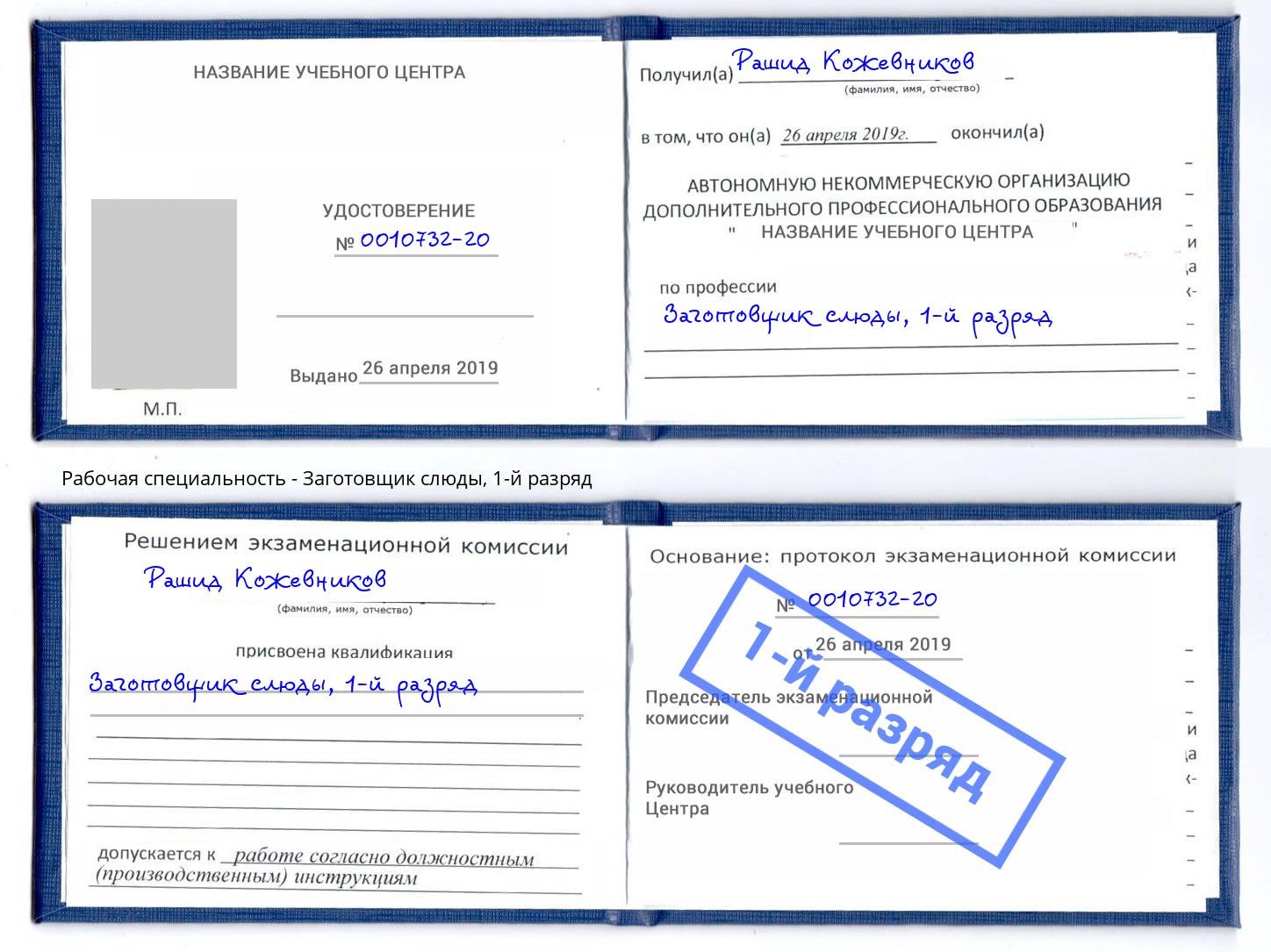 корочка 1-й разряд Заготовщик слюды Александров
