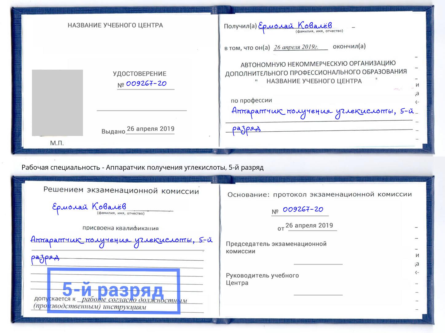 корочка 5-й разряд Аппаратчик получения углекислоты Александров